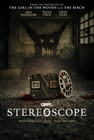 Poster 1 de Filme Stereoscope (2024)