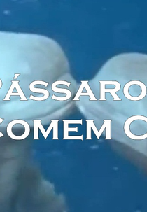 Pássaros Não Comem Caviar (Pássaros Não Comem Caviar)