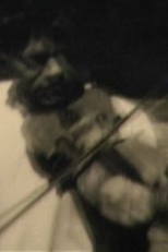 The Turtle Shell (The Turtle Shell)