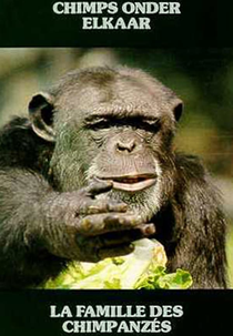 The Family of Chimps (Chimps Onder Elkaar)