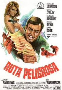 O Karatê da Morte (A Rota do Perigo) (Danger route)