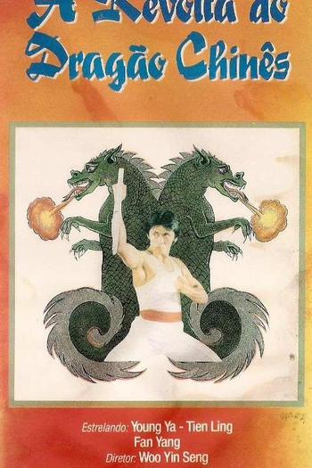 Poster de Filme A Revolta do Dragão Chinês (1975)