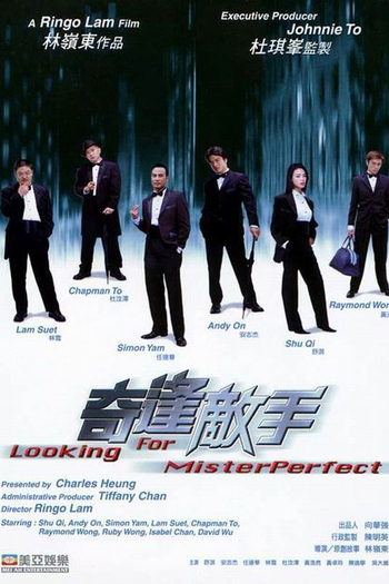 Poster de Filme Looking for Mr. Perfect (2003)