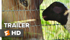 The Biggest Little Farm Trailer #1 (2019) | Movieclips Indie