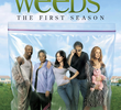 Weeds (1ª Temporada)