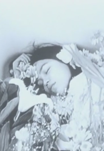 A Silent Day (Shizuka na ichinichi)