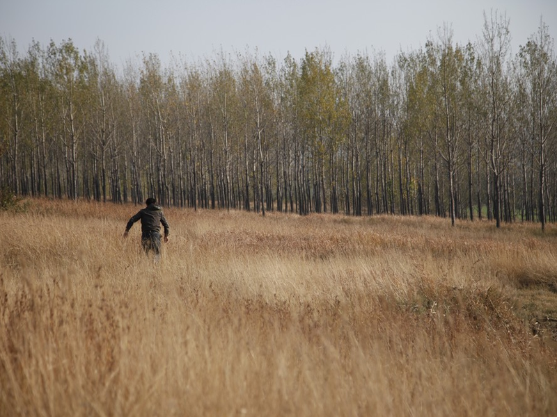 Foto 1 de The Coffin in the Mountain