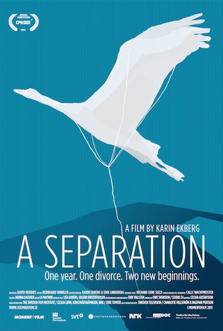 Poster 1 de Filme Uma Separação (2013)