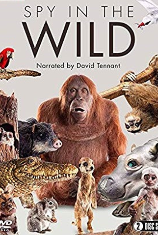 Poster 1 de Série Espiões da Natureza (2017)