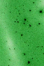 Intrigues (IV) (Intrigues (IV))