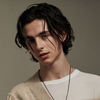 Timothée Chalamet - Foto 6