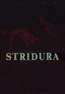 Stridura (Stridura)