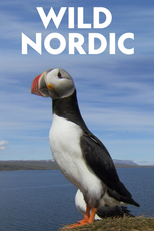 O Extraordinário Território da Escandinávia (Wild Nordic)