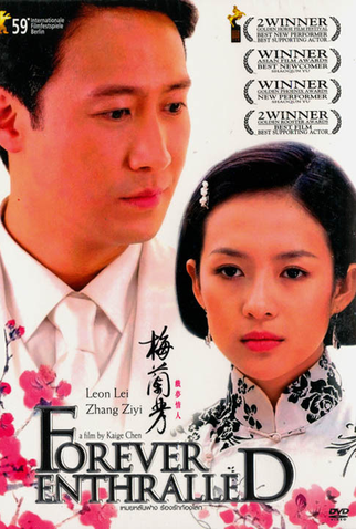 Poster 5 de Filme Eterno Feitiço  (2008)