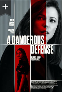 Defesa Perigosa - Poster / Capa / Cartaz - Oficial 1