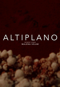 Altiplano (Altiplano)
