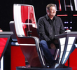The Blind Auditions, Part 5