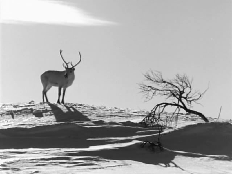 Foto 3 de A Rena Branca