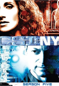 CSI: Nova Iorque (5ª Temporada) (CSI: NY (Season 5))