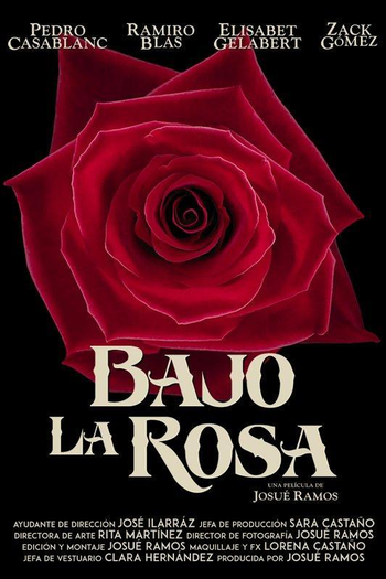  de Filme O Enigma da Rosa (2017)