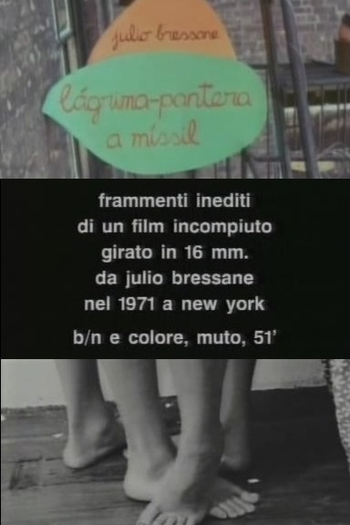 Poster de Filme Lágrima Pantera (1972)