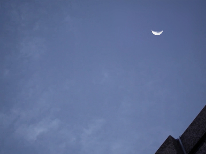 Foto 1 de Querido Capricórnio