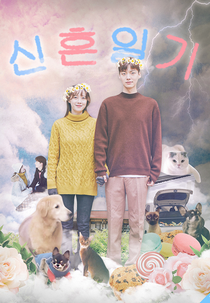 Newlyweds Diary: Season 1 (2017) (신혼일기: The Lovebirds)