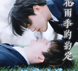 The Agreement of Cherry Blossom Rainy Season