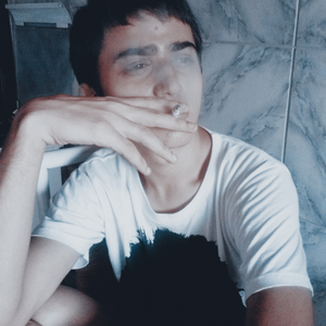 Foto de perfil de Berg