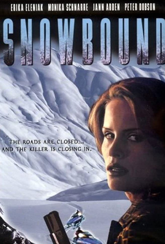 Poster 1 de Filme Medo na Neve (2001)