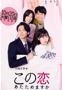 A Warmed Up Love (この恋あたためますか)