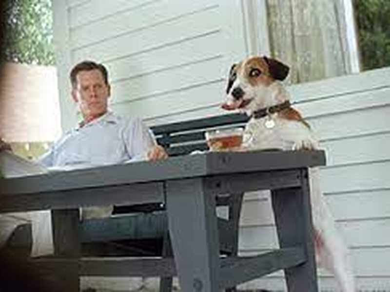 Foto 8 de Meu Cachorro Skip