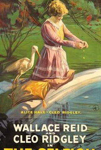 Poster 1 de Filme The Selfish Woman (1916)