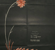 Canção Sobre Uma Flor