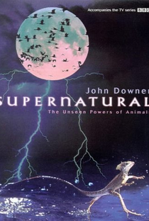 Supernatural: The Unseen Power Of Animals - Poster / Capa / Cartaz - Oficial 1