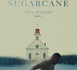 Sugarcane: Sombras de um Colégio Interno