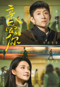 The Wonderful World (亲爱的你)