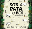 Sob a Pata do Boi