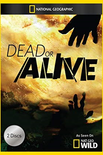 Poster de Série Encontro Animal (2013)