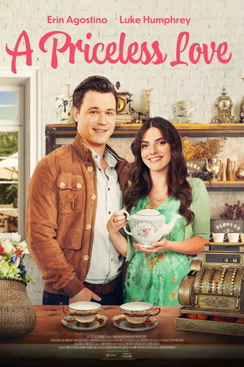 Poster de Filme A Priceless Love (2022)