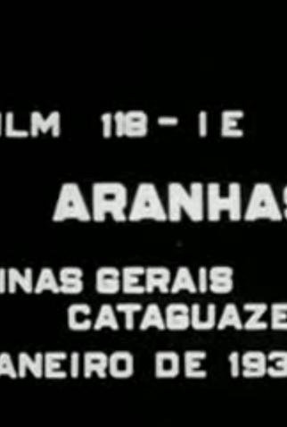 Poster 2 de Curta Aranhas (1938)