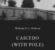 Caicedo (with pole)