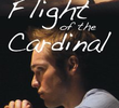 Flight of the Cardinal