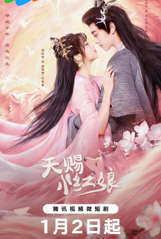 Poster 1 de Série The Little Red Matchmaker (2024)