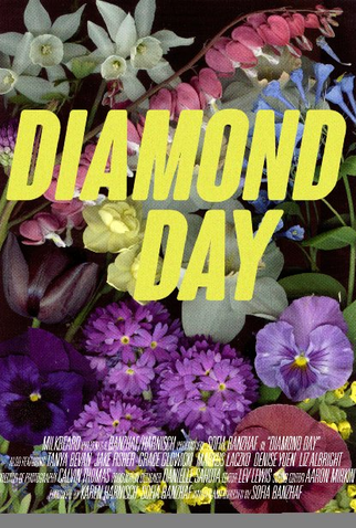 Poster 1 de Curta Diamond Day (2015)