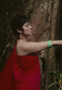 Efeito Zuvuya (Efeito Zuvuya)