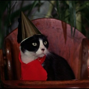 Foto de perfil de A. Brum