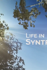 Vida em Sintropia (Vida em Sintropia)