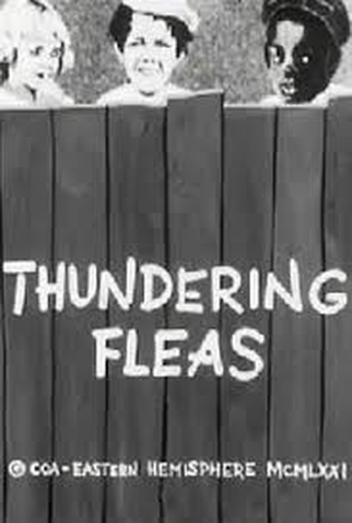 Poster 6 de Curta Thundering Fleas (1926)