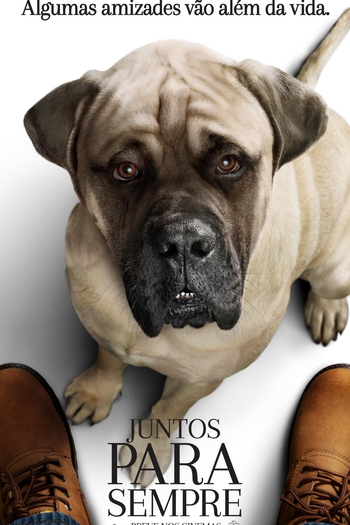  de Filme Juntos Para Sempre (2019)